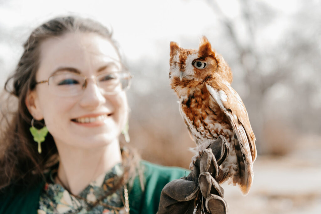 Odin the screech owl perched on Alicia's glove.